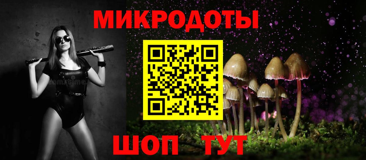 где найти наркотики  Псилоцибиновые грибы Psilocybine cubensis  Вход с VPN  Новокубанск 